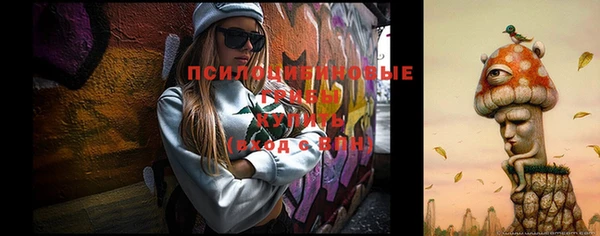 2c-b Нефтегорск