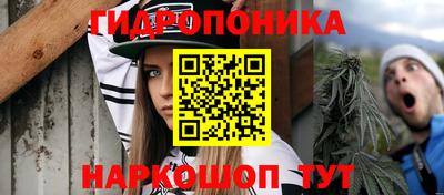 скорость Гай