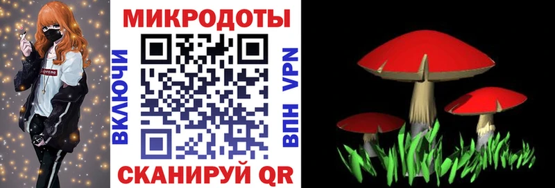 Галлюциногенные грибы мухоморы  Алексин 