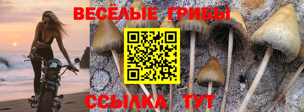 Галлюциногенные грибы мухоморы Алексин