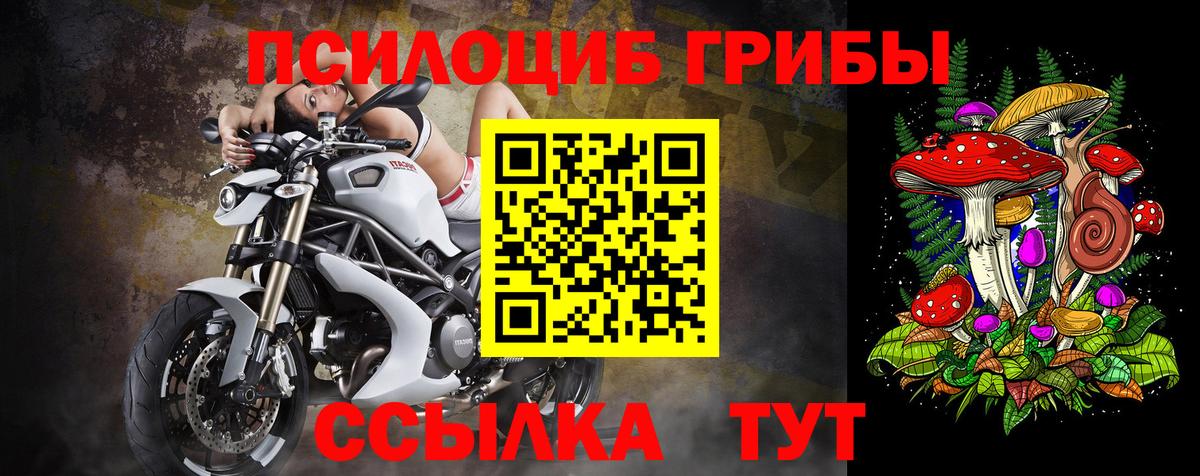 Галлюциногенные грибы MAGIC MUSHROOMS  Вход с VPN  Псилоцибиновые грибы ЛСД  Алексин 