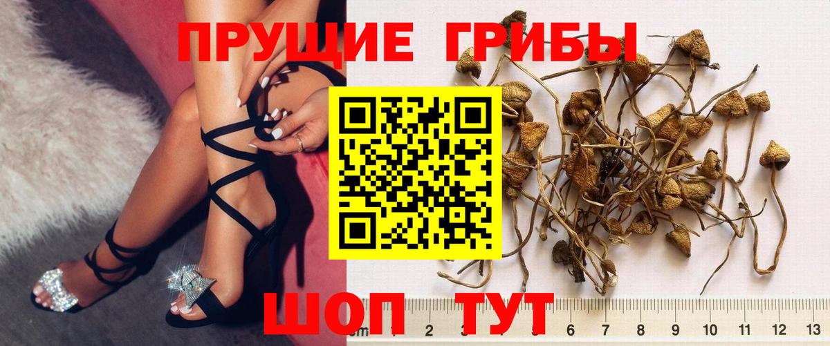 Алексин  Галлюциногенные грибы MAGIC MUSHROOMS  Вход с VPN 
