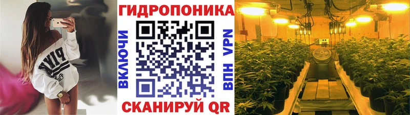 цена наркотик  Алексин  Бошки марихуана White Widow 