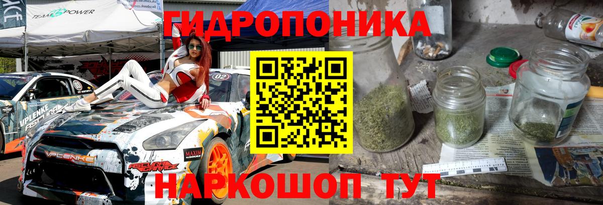 Канабис OG Kush Алексин